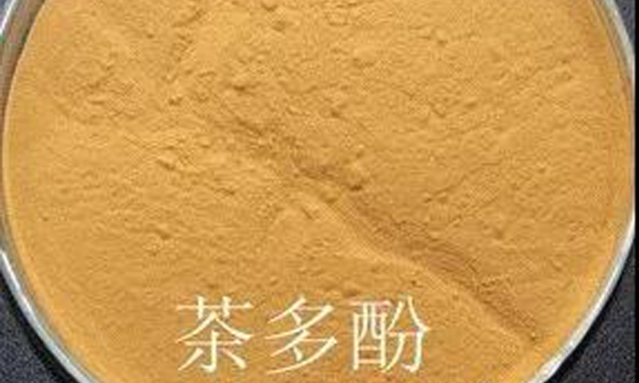 一,茶多酚含量变化