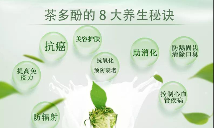 茶多酚:人体保鲜剂