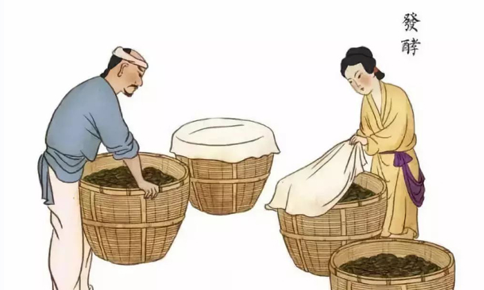 红茶的发酵,外看技术,内看品质.